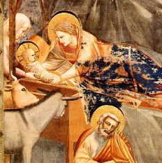 Giotto (1267-1337), Geburt Jesu (Capella degli Scrovegni, Padua)