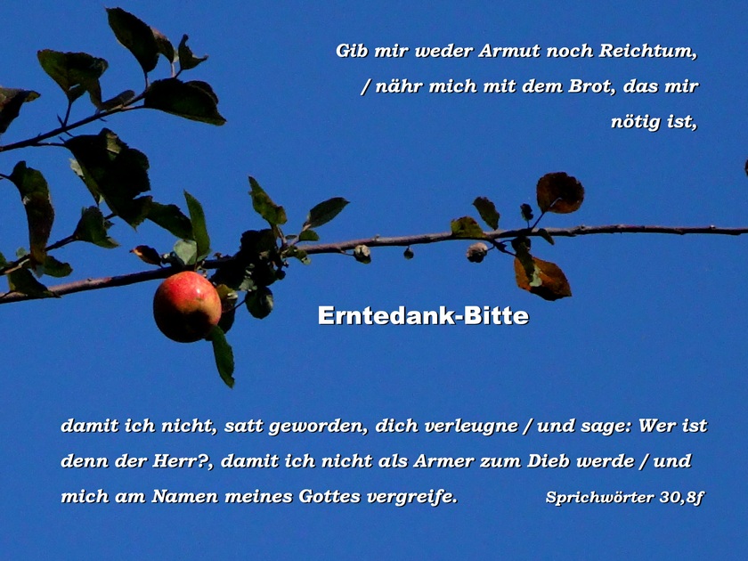 2014-10-05 Erntedank-Bitte